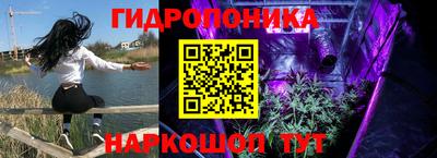 ПСИЛОЦИБИНОВЫЕ ГРИБЫ Майкоп