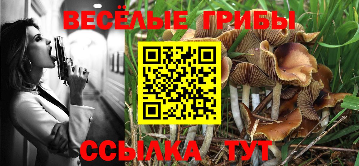 Псилоцибиновые грибы GOLDEN TEACHER Татарск