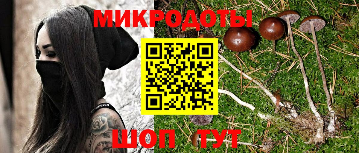 Псилоцибиновые грибы ЛСД  Псилоцибиновые грибы Psilocybe  Татарск 