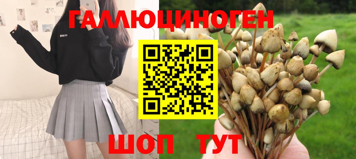 Татарск  Галлюциногенные грибы ЛСД  купить  сайты  Вход с VPN  Галлюциногенные грибы Psilocybine cubensis 