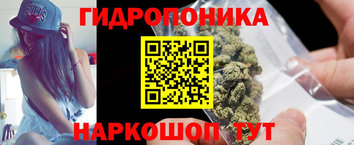 Бошки марихуана планчик  Каннабис планчик  Татарск  Бошки Шишки MAZAR  Марихуана Amnesia 